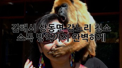 김해시 상동면 감노리 청소: 소독 방역까지 완벽하게!