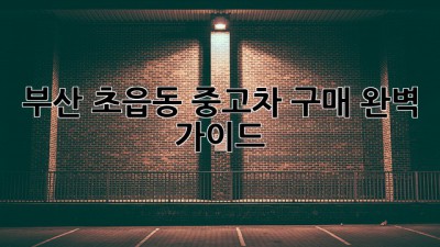 부산 초읍동 중고차 구매 완벽 가이드!